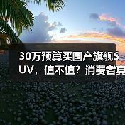30万预算买国产旗舰SUV，值不值？消费者真实反馈（图3）