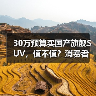30万预算买国产旗舰SUV，值不值？消费者真实反馈（图4）