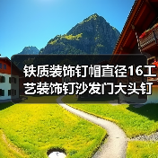 铁质装饰钉帽直径16工艺装饰钉沙发门大头钉如何选（图4）