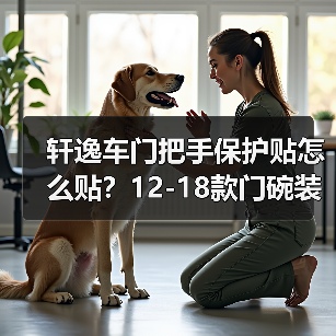 轩逸车门把手保护贴怎么贴？12-18款门碗装饰改装指南（图3）
