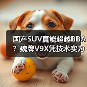 国产SUV真能超越BBA？魏牌V9X凭技术实力破局（图2）