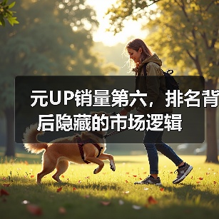 元UP销量第六，排名背后隐藏的市场逻辑（图1）