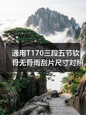 通用T170三段五节软骨无骨雨刮片尺寸对照指南（图3）
