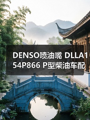 DENSO喷油嘴 DLLA154P866 P型柴油车配件油嘴选购指南（图1）