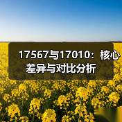 17567与17010：核心差异与对比分析（图3）