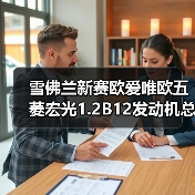 雪佛兰新赛欧爱唯欧五菱宏光1.2B12发动机总成如何选？（图2）