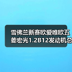 雪佛兰新赛欧爱唯欧五菱宏光1.2B12发动机总成如何选？（图3）