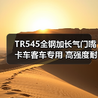 TR545全钢加长气门嘴 卡车客车专用 高强度耐用（图2）
