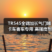 TR545全钢加长气门嘴 卡车客车专用 