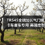 TR545全钢加长气门嘴 卡车客车专用 高强度耐用（图4）
