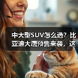 中大型SUV怎么选？比亚迪大唐预售来袭，这些细节你注意了吗？（图2）