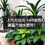 上汽大众ID.EAR能否打破量产缩水魔咒？（图1）