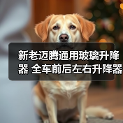新老迈腾通用玻璃升降器 全车前后左右升降器（图1）