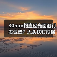 30mm帽直径光面泡钉怎么选？大头铁钉规格选购全解析（图1）