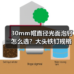 30mm帽直径光面泡钉怎么选？大头铁钉规格选购全解析（图4）