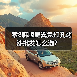 索8韩版尾翼免打孔烤漆批发怎么选？（图1）