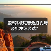 索8韩版尾翼免打孔烤漆批发怎么选？（图4）
