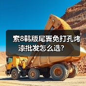 索8韩版尾翼免打孔烤漆批发怎么选？（图3）