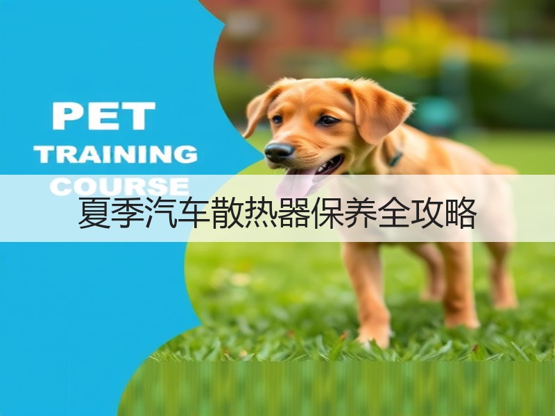 夏季汽车散热器保养全攻略