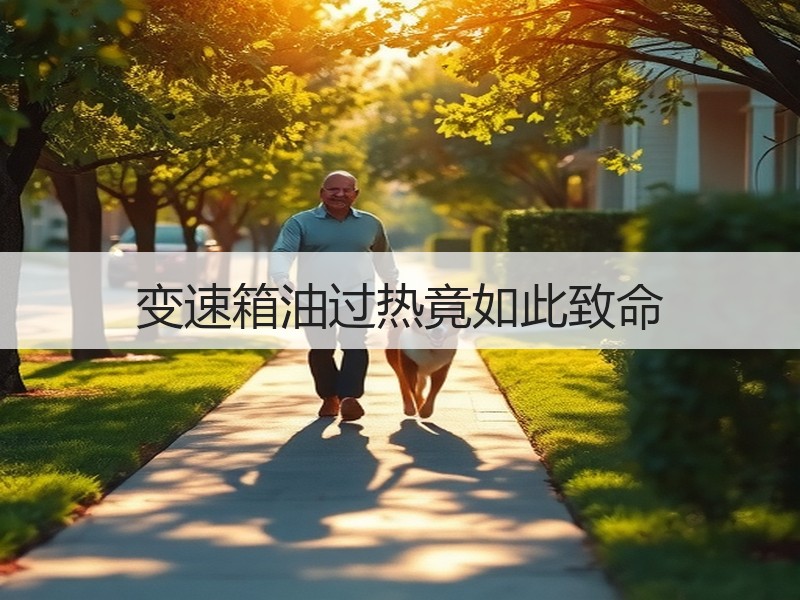 变速箱油过热竟如此致命