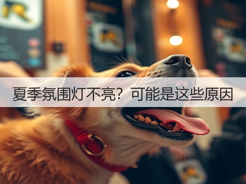 夏季氛围灯不亮？可能是这些原因