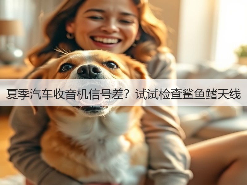 夏季汽车收音机信号差？试试检查鲨鱼鳍天线