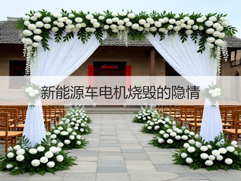 新能源车电机烧毁的隐情