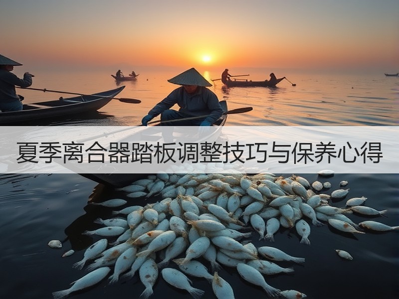 夏季离合器踏板调整技巧与保养心得