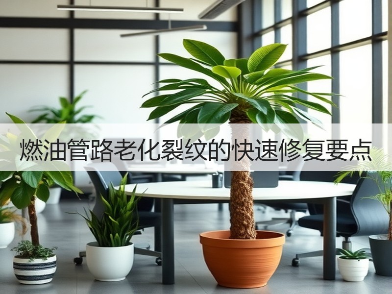 燃油管路老化裂纹的快速修复要点