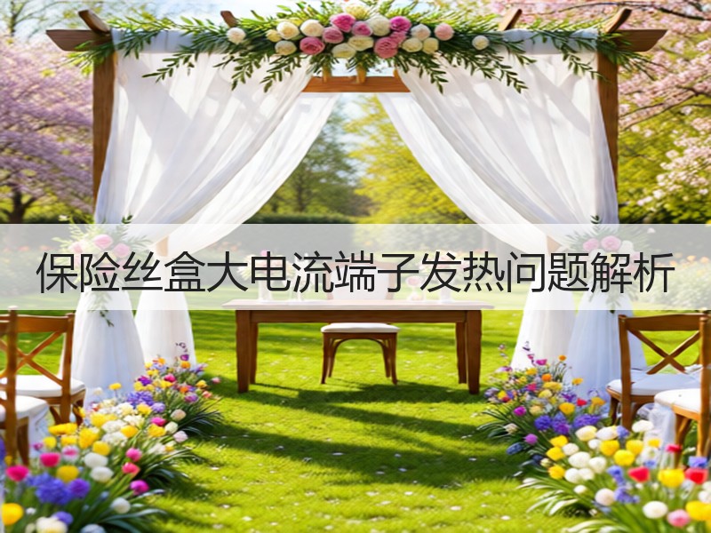 保险丝盒大电流端子发热问题解析