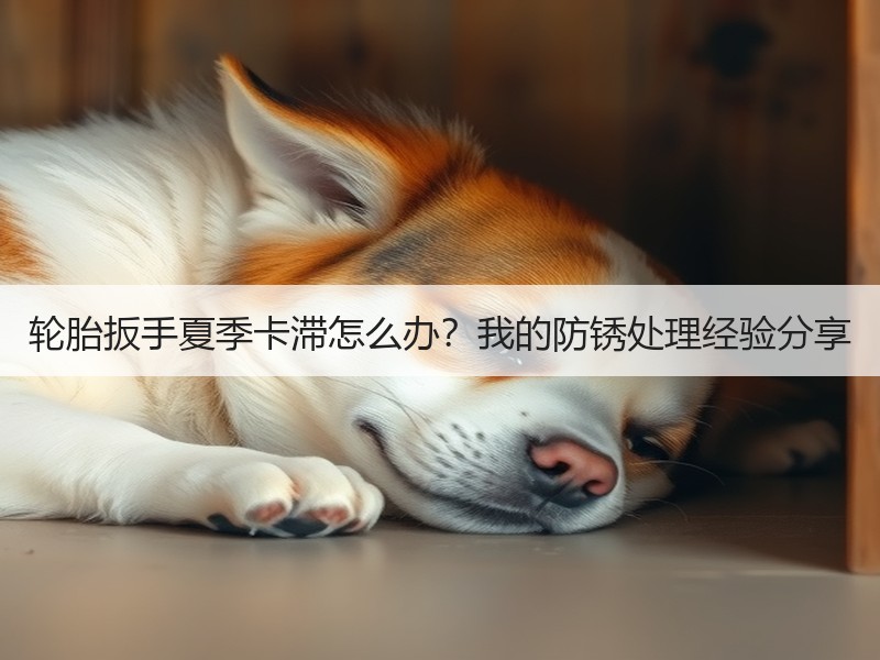 轮胎扳手夏季卡滞怎么办？我的防锈处理经验