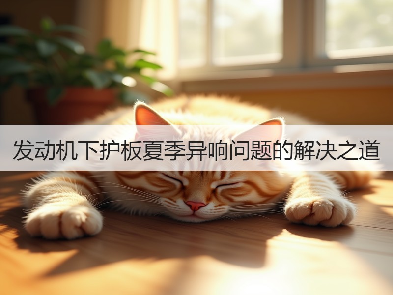 发动机下护板夏季异响问题的解决之道