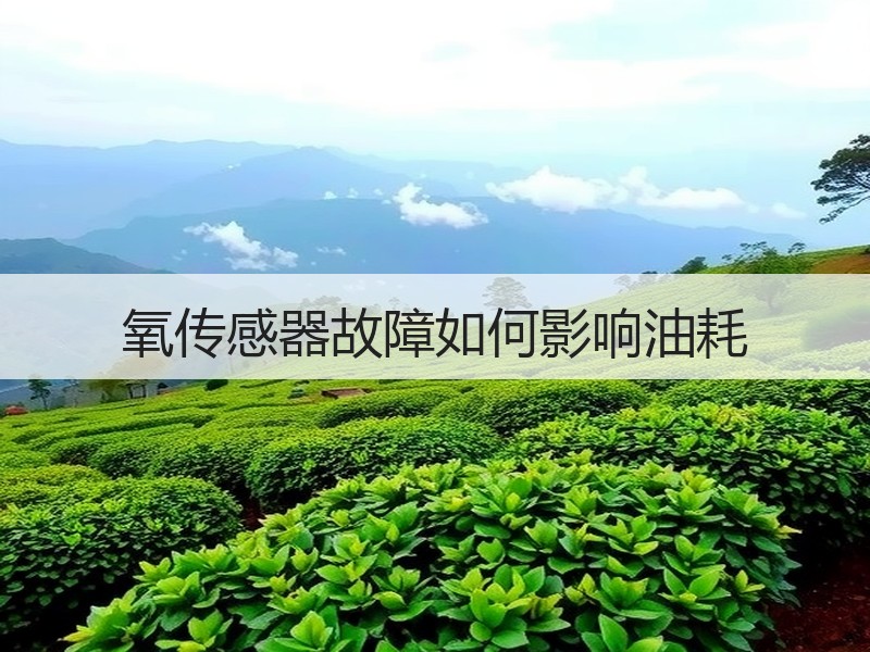 氧传感器故障如何影响油耗