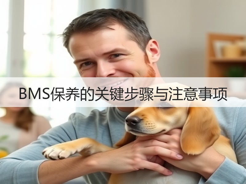 BMS保养的关键步骤与注意事项