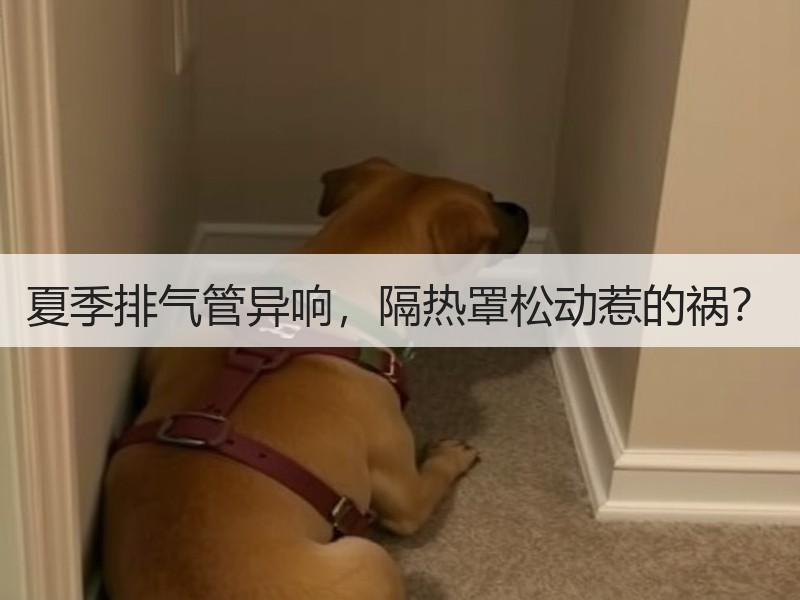 夏季排气管异响，隔热罩松动惹的祸？
