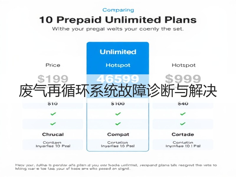 废气再循环系统故障诊断与解决