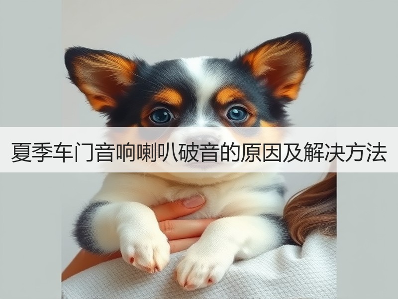 夏季车门音响喇叭破音的原因及解决方法