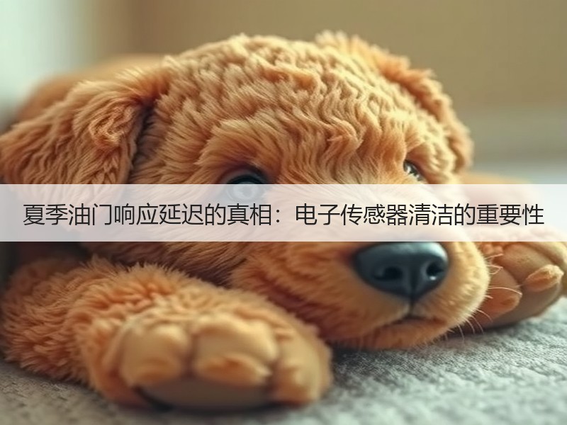 夏季油门响应延迟的真相：电子传感器清洁的