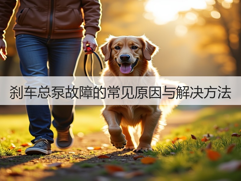 刹车总泵故障的常见原因与解决方法