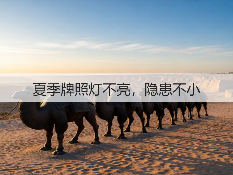 夏季牌照灯不亮，隐患不小